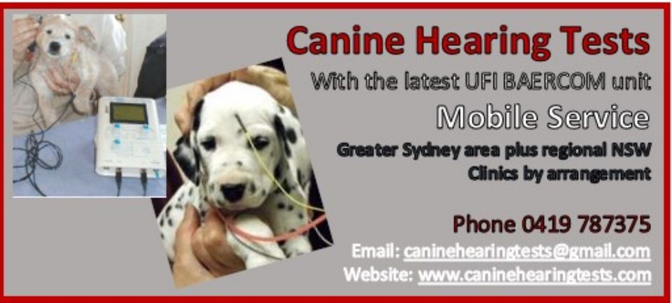CANINE HEARING TESTS